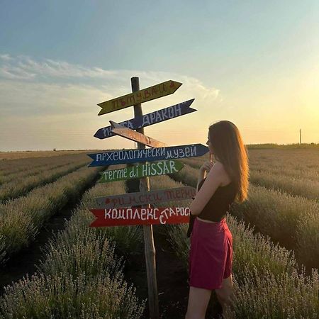 вила Топи Kaloyanovo  Екстер'єр фото