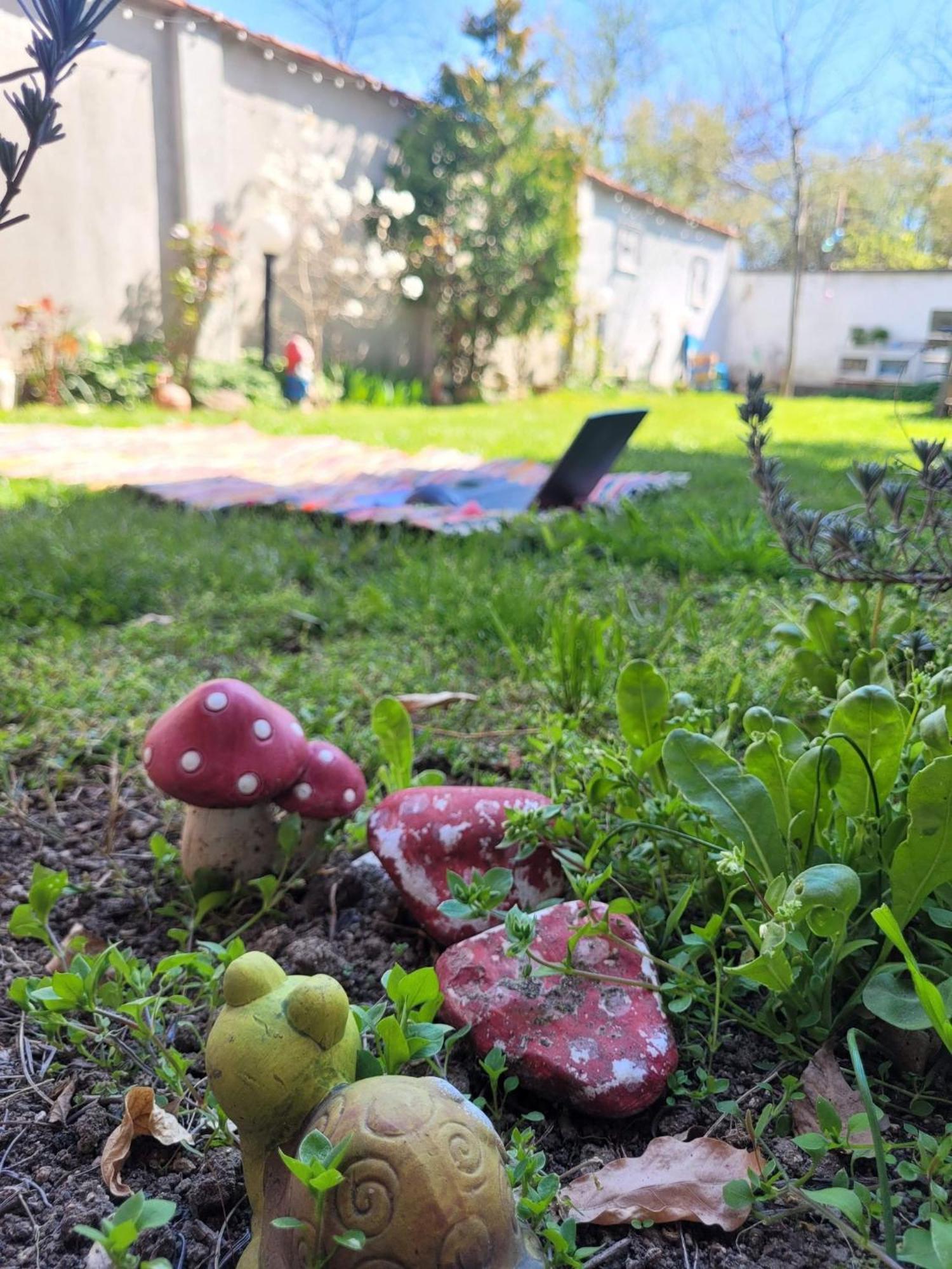 вила Топи Kaloyanovo  Екстер'єр фото